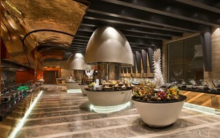 Elexus Hotel & Spa & Casino