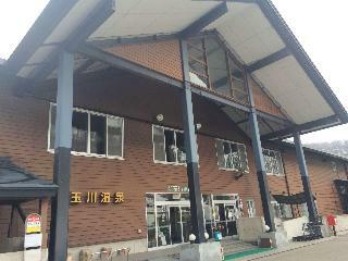 Hotel Tamagawa Onsen