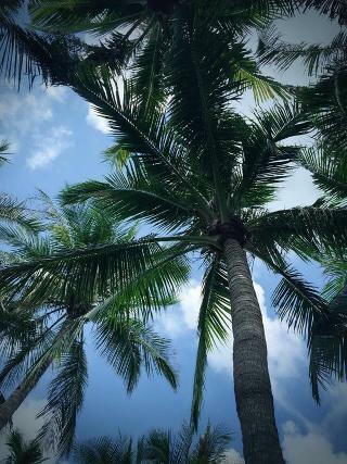Hotel Atlantis Sanya