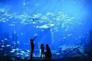 Hotel Atlantis Sanya
