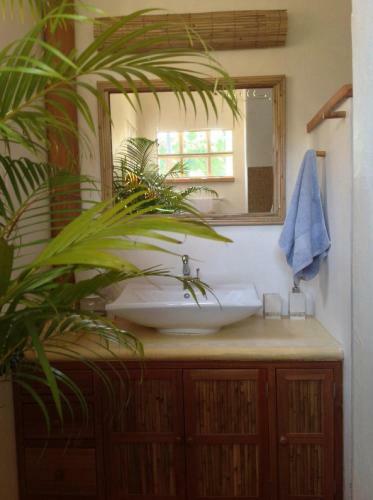 Bed & Breakfast Aree's Lagoon House