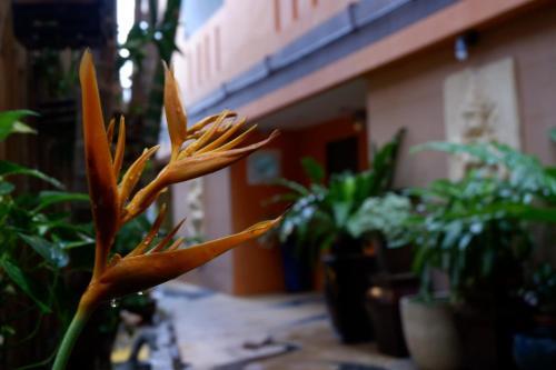 Hostal Baan Kamala Hostel & Guesthouse