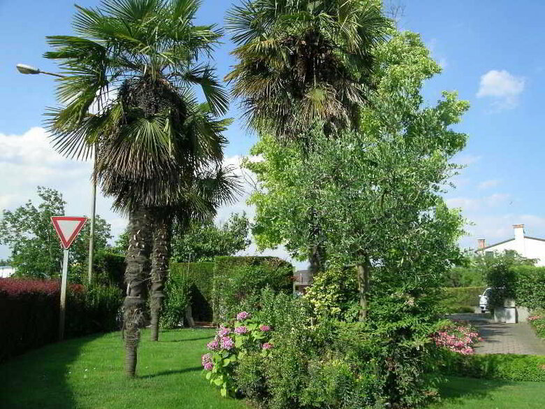 Hotel Da Vito