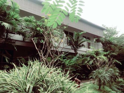 Hostal Phukamala Suite