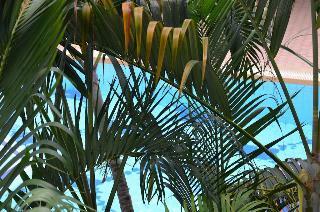 Hotel Rawai Garden Bungalows