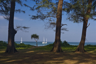 Hotel Dewa Phuket
