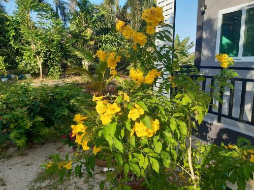 Hostal Wangwaree Resort