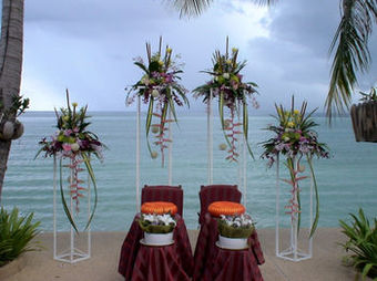 Papillon Resort