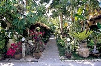 Papillon Resort