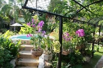 Papillon Resort