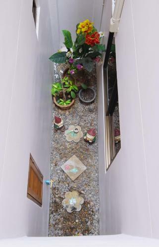Hostal Ming Shou Boutique House