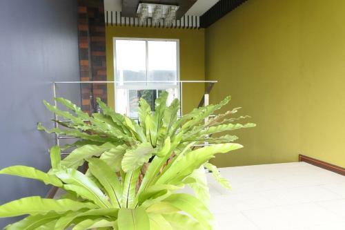 Hotel Baannueng@kathu