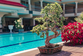 Hotel Vox Maris Grand Resort