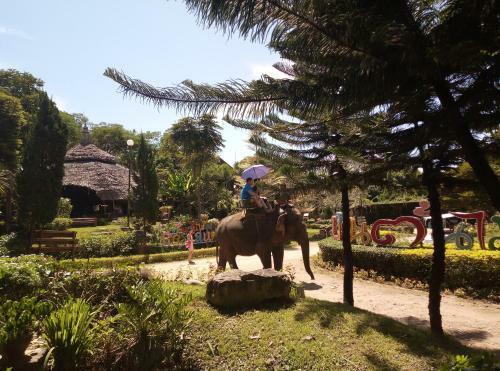 Hotel Pai Treehouse