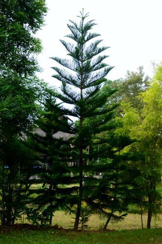 Hotel Pai Loess Resort