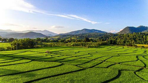 Lodge Phu Pai Art Resort
