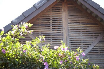 House Of Love @ Pai
