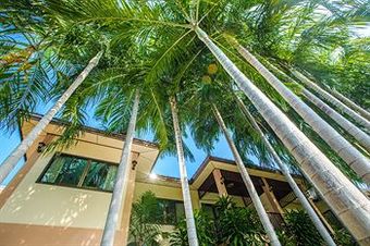 Hotel Oasis Hakuna Matata
