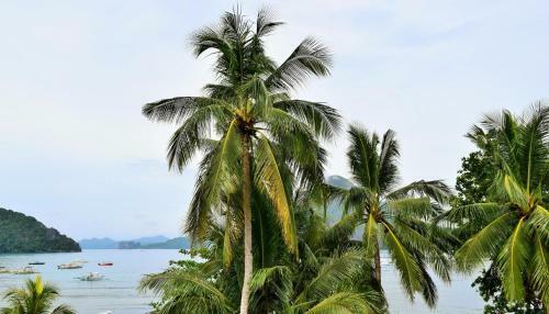 Hotel Angelnido Resort