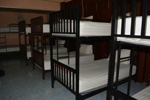 Hostal Tams Guesthouse