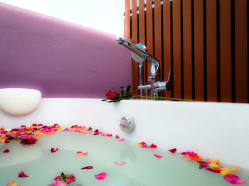 Behind The Scene Hotel Club @ Samui