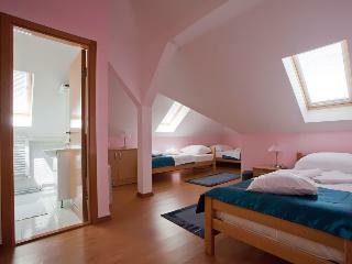 Hotel Vila Drina