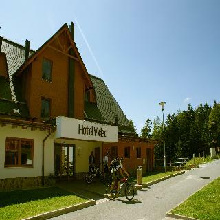 Hotel Videc