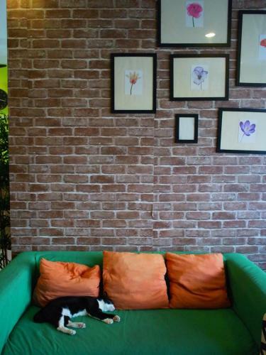Albergue Vx The Fifty
