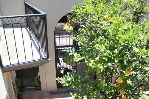 Hotel Mama Carlota