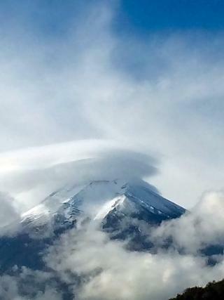 Hotel Hostel Mt Fuji
