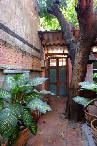 Hostal Pim Bed & Breakfast