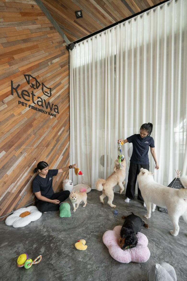 Ketawa Stylish Hotel
