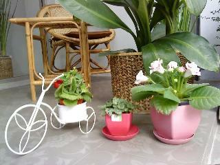 Hostal Sabai House