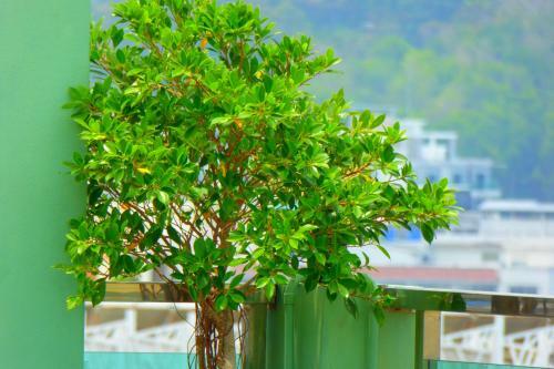 Addplus Hotel