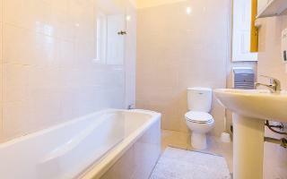 Well�come! To The Backyard House