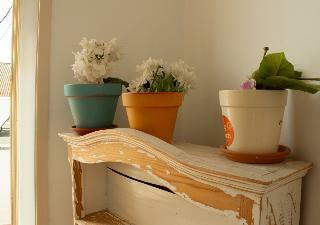 Well�come! To The Backyard House