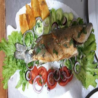 Hotel Sahin Palace