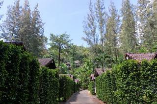 Hotel The Delight Pine Tree Village