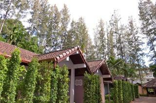 Hotel The Delight Pine Tree Village