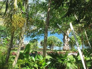 Hotel Benjor Beach Club