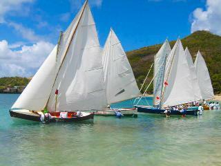 Spring House Hotel Bequia