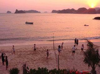 Hotel Monkey Island