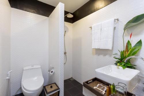 Dolphin Hotel Phuket