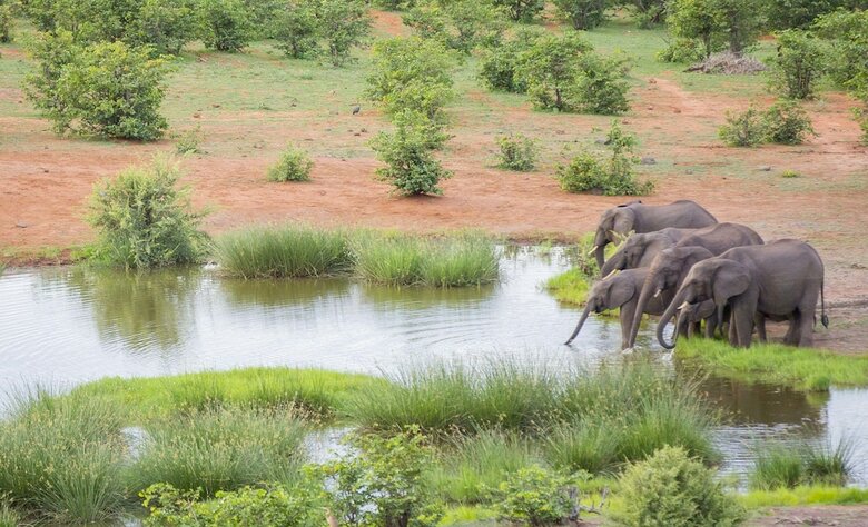 Hotel Victoria Falls Safari Lodge