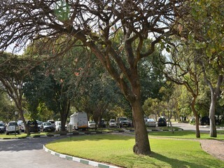 Hotel Cresta Lodge