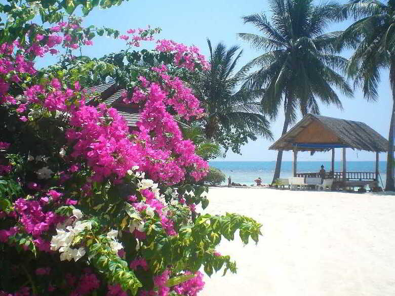 Hotel Seaboard Bungalows