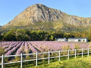 Hotel Lavender Farm Guest House