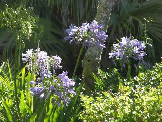 Hotel Swellendam Country Lodge