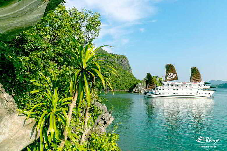 Hotel Bhaya Classic Cruises