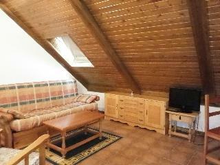 Villa Apartamentos Varios Valle de Tena 3000